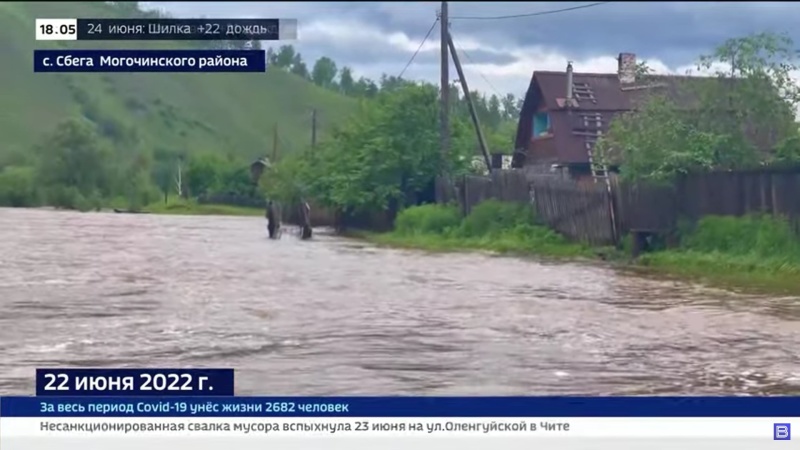 Огороды уходят под воду, МЧС эвакуирует людей. Ситуация с паводком в Могоче