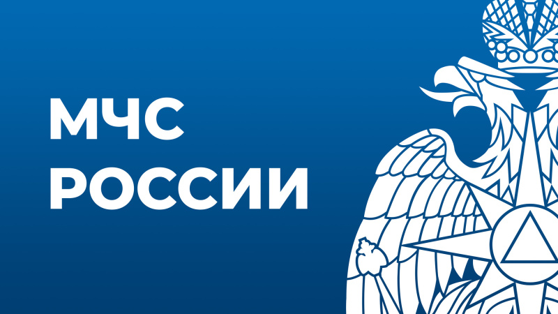 Мужчина отравился угарным газом, спасая от огня соседские дачные постройки